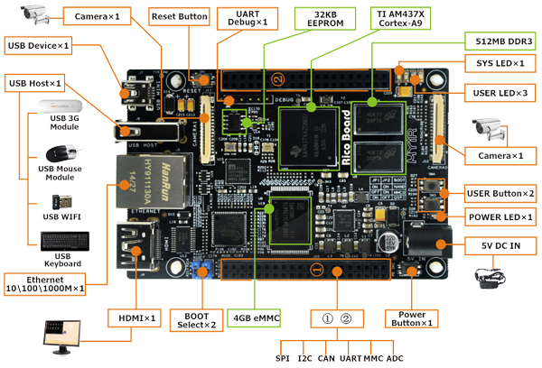 Rico Board